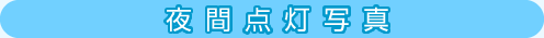 ԓ_ʐ^